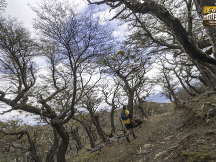 Foto: Alejandro Zoñez