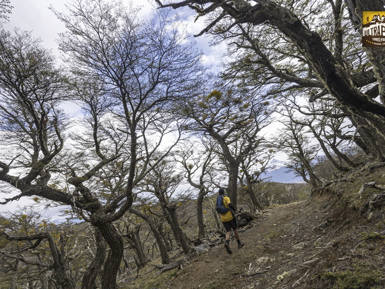 Foto: Alejandro Zoñez