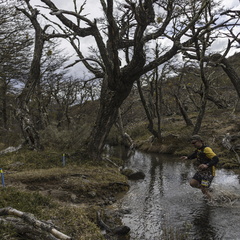 Foto: Alejandro Zoñez