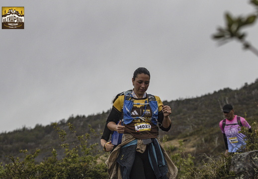 Foto: Alejandro Zoñez