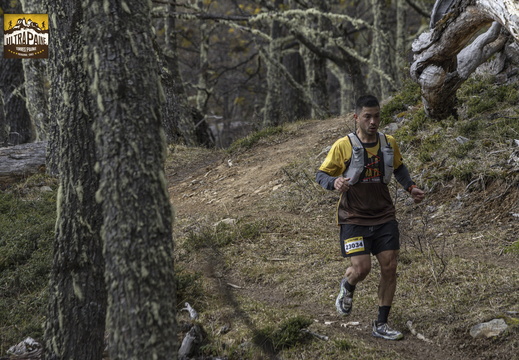 Foto: Alejandro Zoñez