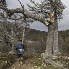 Foto: Alejandro Zoñez