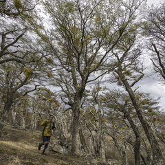 Foto: Alejandro Zoñez