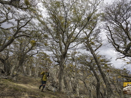 Foto: Alejandro Zoñez