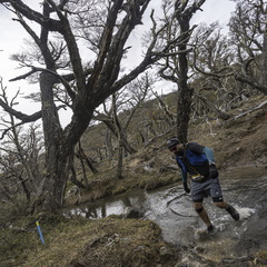 Foto: Alejandro Zoñez