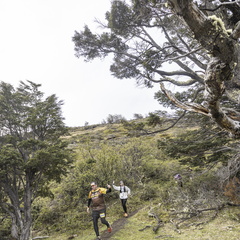 Foto: Alejandro Zoñez