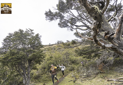 Foto: Alejandro Zoñez