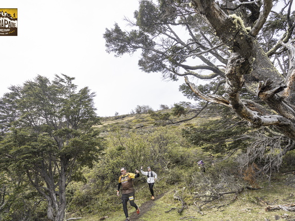 Foto: Alejandro Zoñez