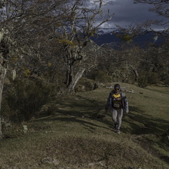 Foto: Alejandro Zoñez