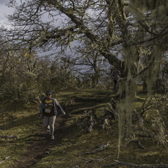 Foto: Alejandro Zoñez