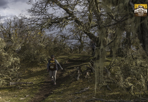 Foto: Alejandro Zoñez