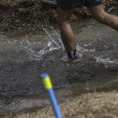 Foto: Alejandro Zoñez