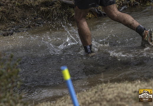 Foto: Alejandro Zoñez