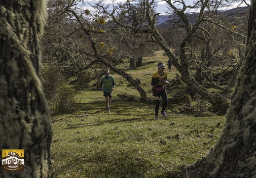 Foto: Alejandro Zoñez