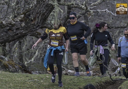 Foto: Alejandro Zoñez