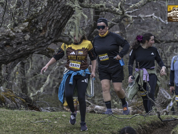 Foto: Alejandro Zoñez