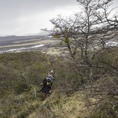 Foto: Alejandro Zoñez