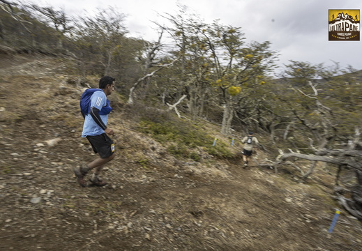 Foto: Alejandro Zoñez