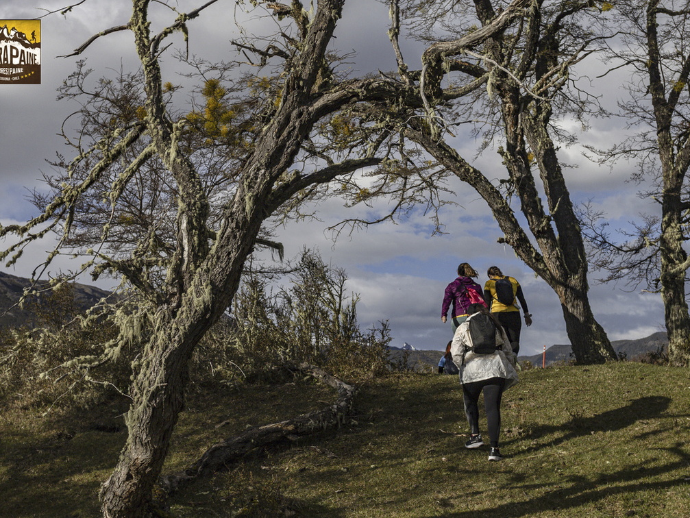 Foto: Alejandro Zoñez