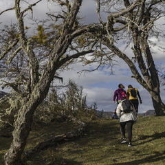 Foto: Alejandro Zoñez