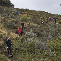 Foto: Alejandro Zoñez