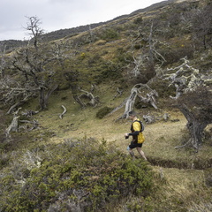 Foto: Alejandro Zoñez