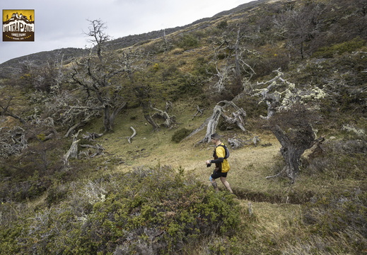 Foto: Alejandro Zoñez