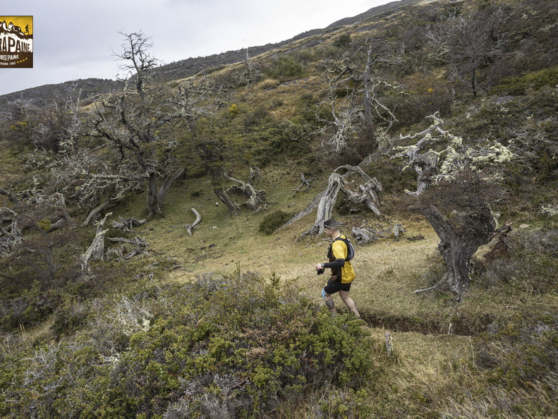 Foto: Alejandro Zoñez