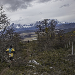 Foto: Alejandro Zoñez