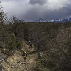 Foto: Alejandro Zoñez