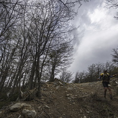 Foto: Alejandro Zoñez