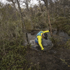 Foto: Alejandro Zoñez