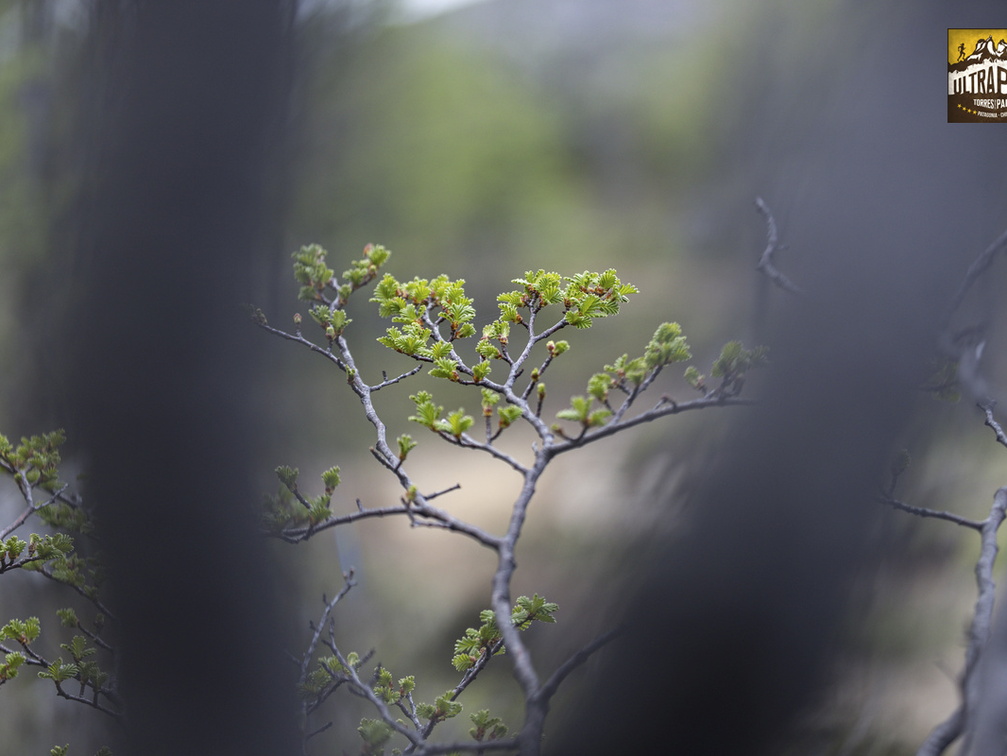 Foto: Christian Miranda