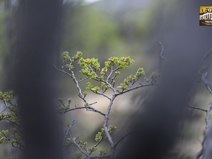 Foto: Christian Miranda