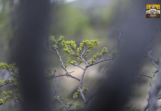 Foto: Christian Miranda