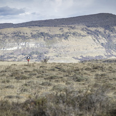 Foto: Christian Miranda