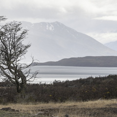 Foto: Christian Miranda