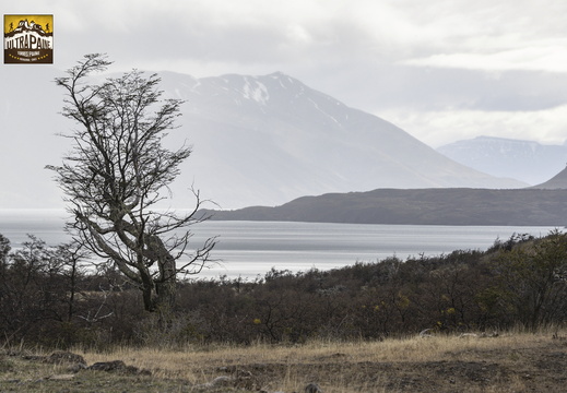 Foto: Christian Miranda