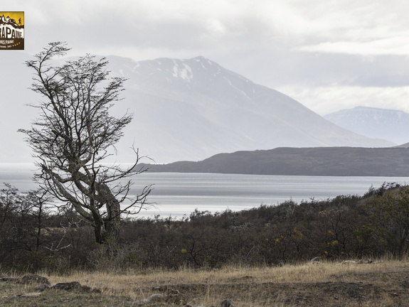 Foto: Christian Miranda