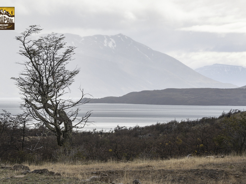 Foto: Christian Miranda