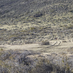 Foto: Christian Miranda