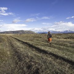 Foto: Christian Miranda