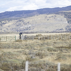 Foto: Christian Miranda