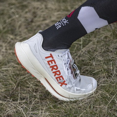 Foto: Christian Miranda