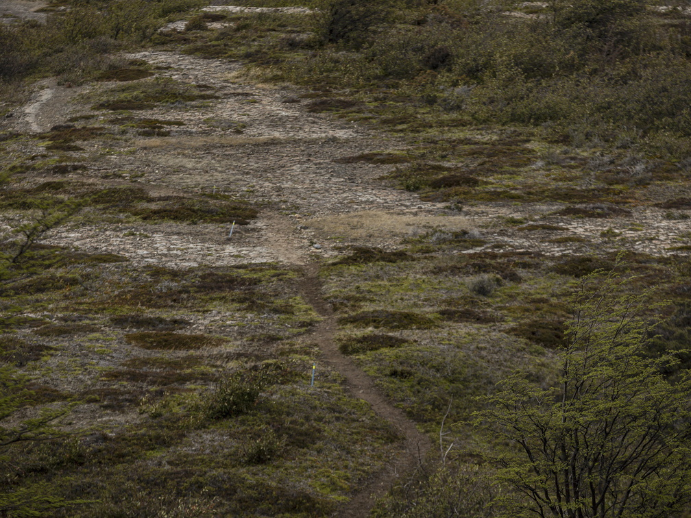 Foto: Christian Miranda