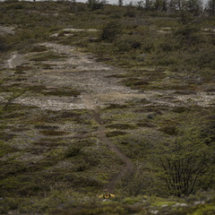 Foto: Christian Miranda