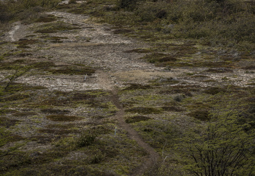 Foto: Christian Miranda