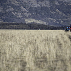 Foto: Christian Miranda