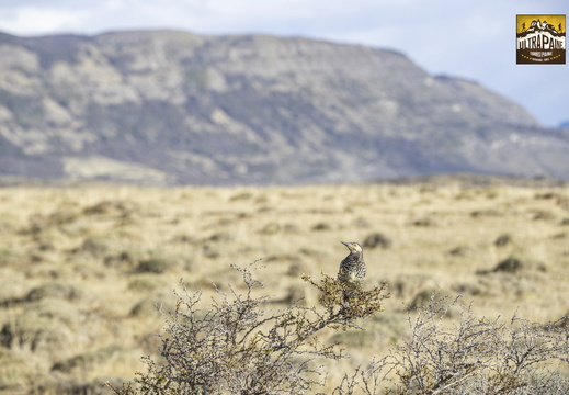 Foto: Christian Miranda