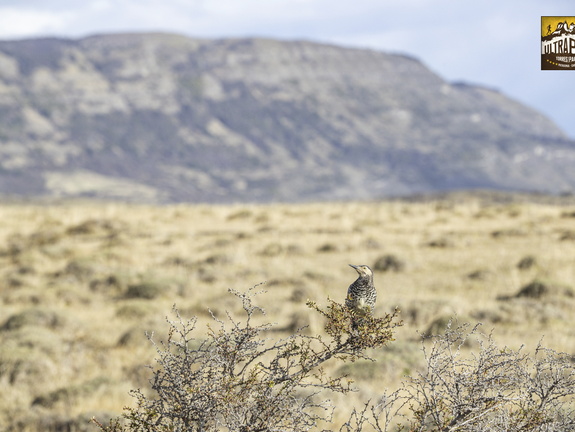 Foto: Christian Miranda
